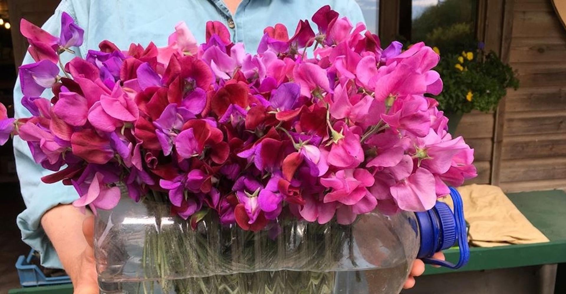 The Sustainable Cooperative