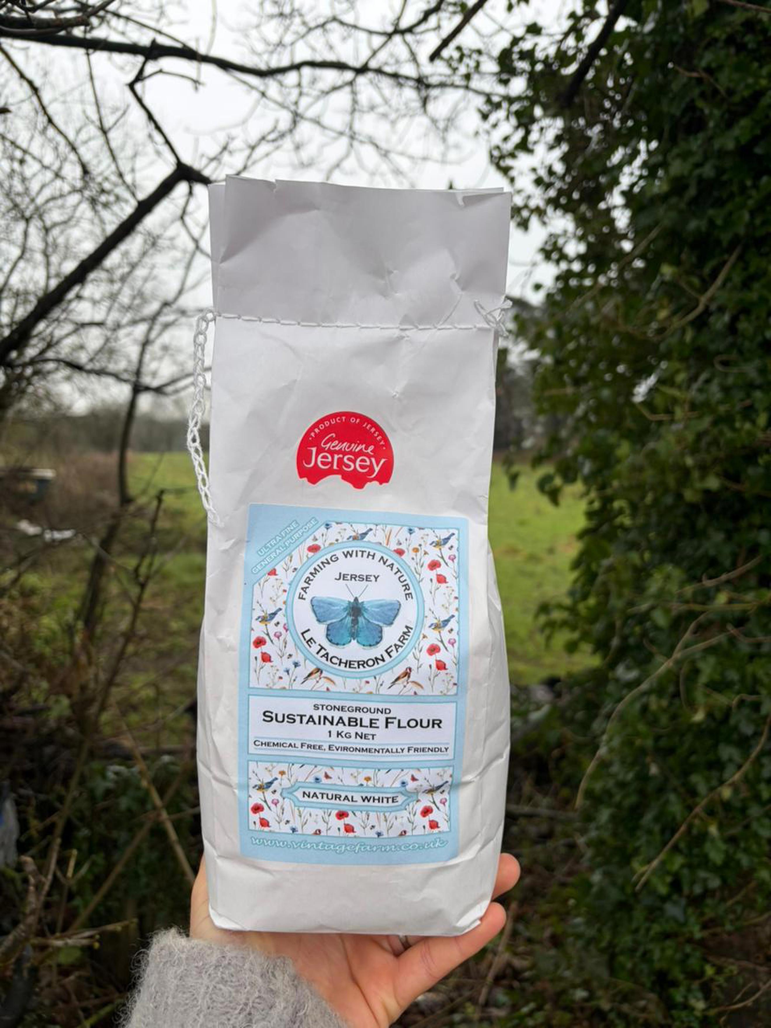 Le Tacheron Heritage Flour White